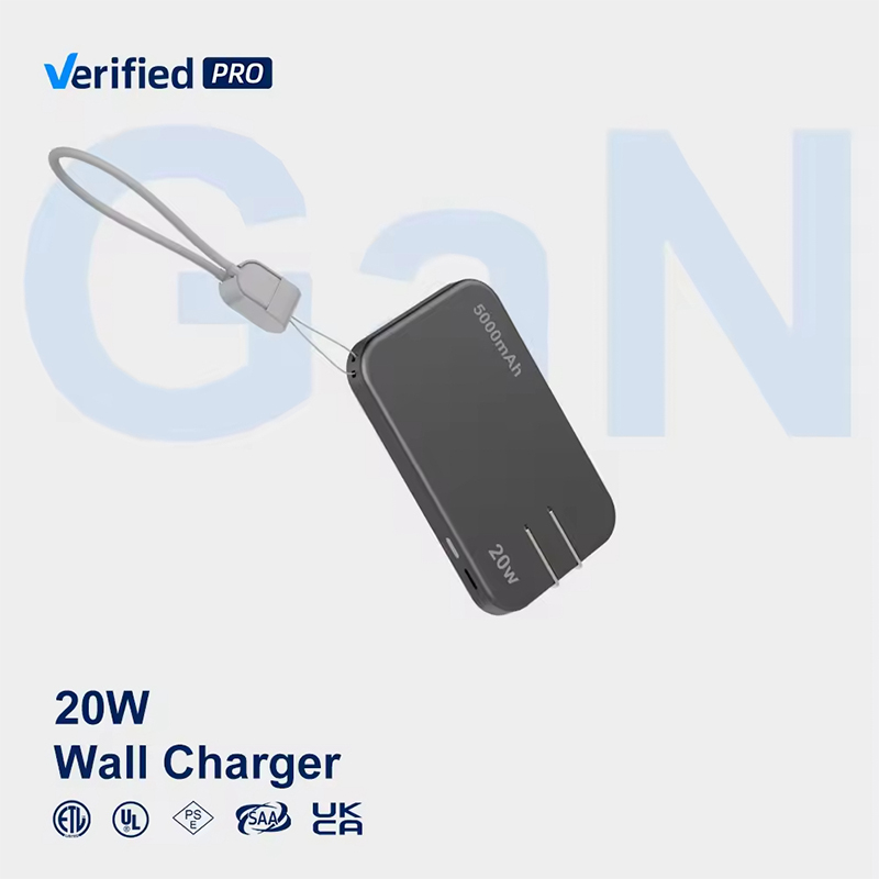 20W US Standard 2-in-1 Charger